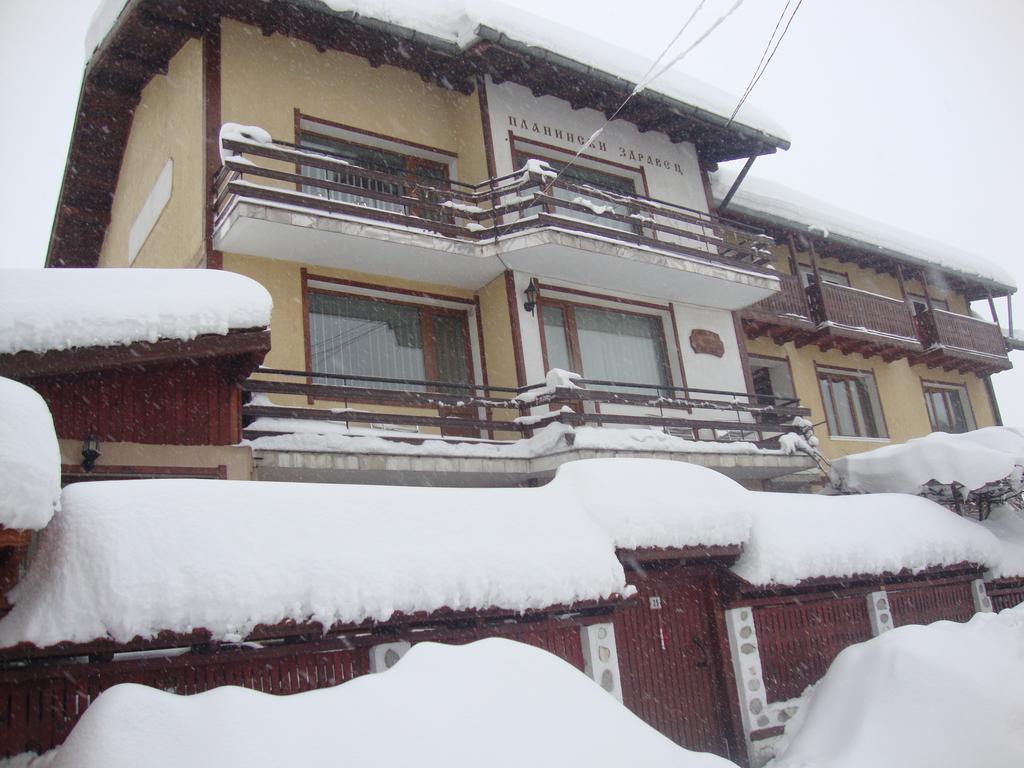 Guest House Planinski Zdravets Bansko Buitenkant foto