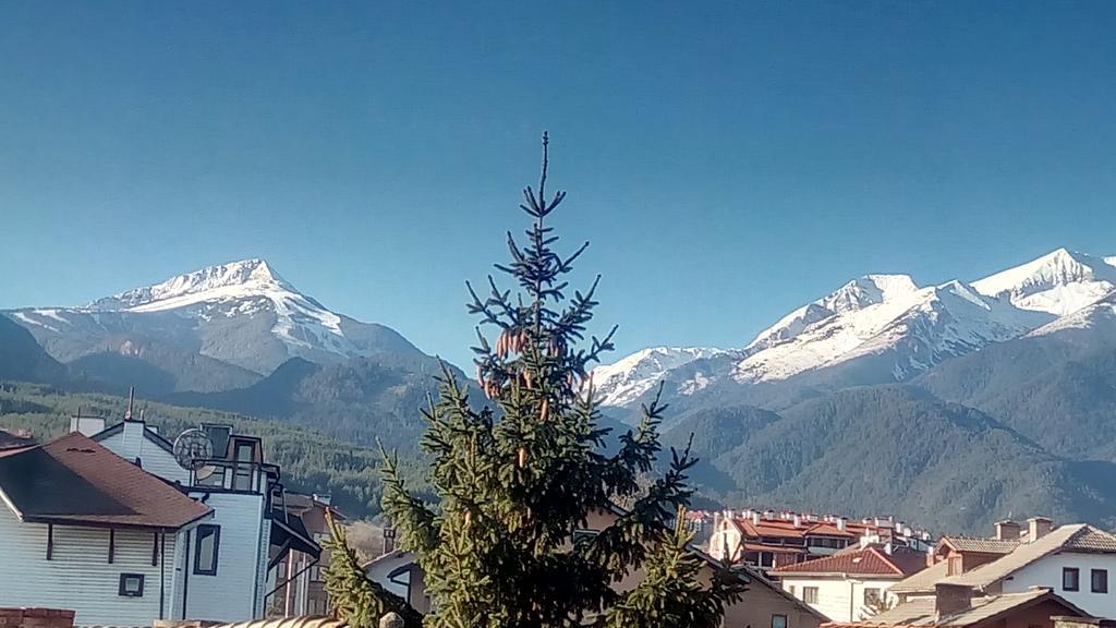 Guest House Planinski Zdravets Bansko Buitenkant foto